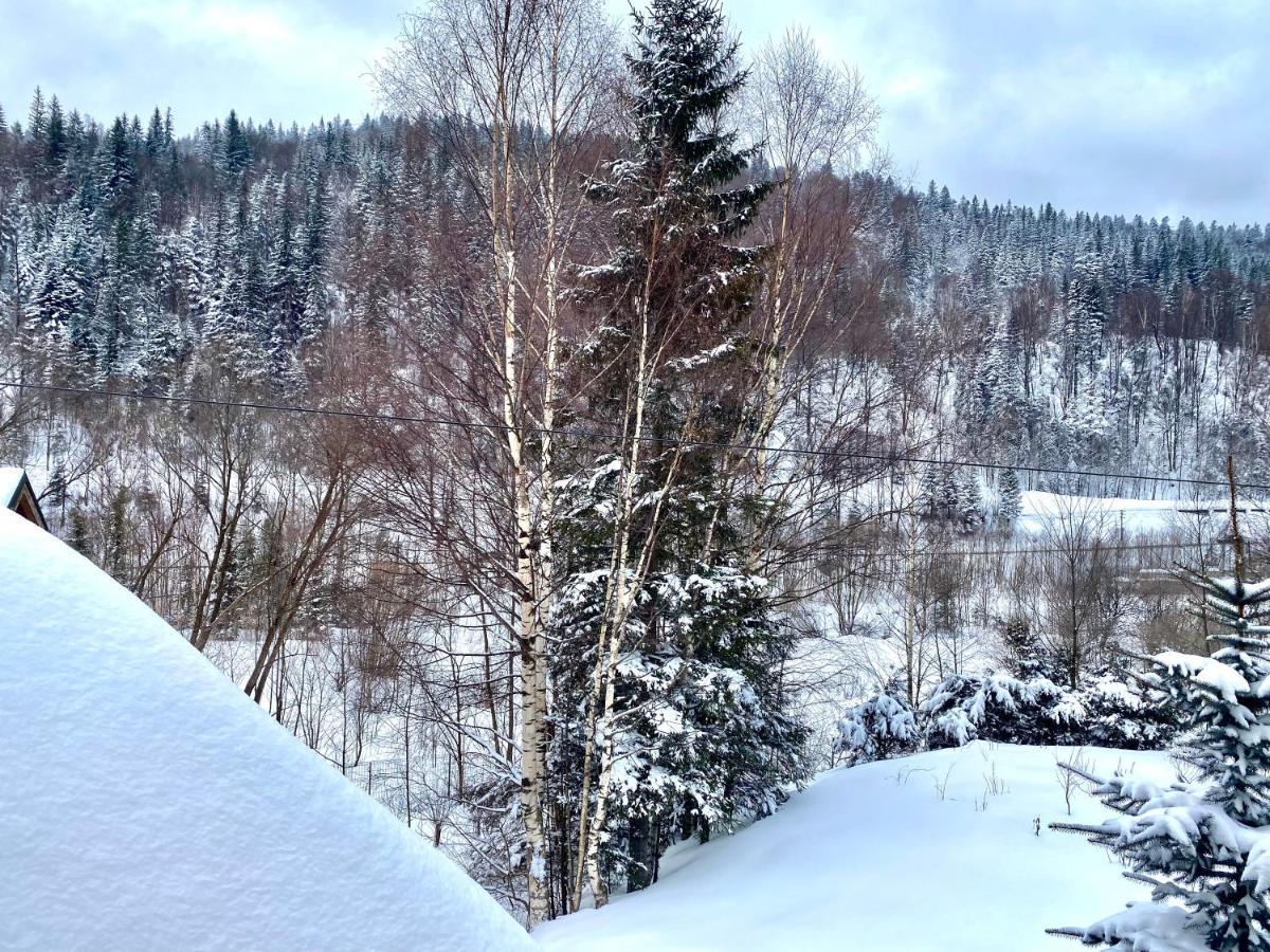 Chalet Four Seasons Villa Tatariv Kültér fotó