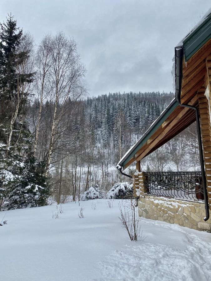 Chalet Four Seasons Villa Tatariv Kültér fotó